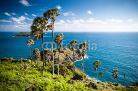 Naklejki Seaview & palm trees at Promthep Cape in Phuket