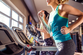 Naklejki Two fit women running on treadmills in modern gym