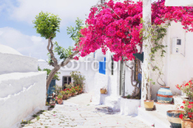 Fototapety Traditional greek street with flowers in Amorgos island, Greece