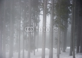 Fototapety Mroźna zima w Alpach