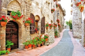 Naklejki Picturesque lane with flowers in an Italian hill town