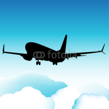 Obrazy i plakaty Landing Plane