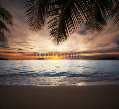 Fototapety Tropical beach