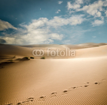 Obrazy i plakaty Sahara dunes