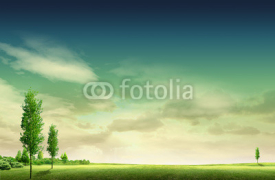Naklejki field landscape with trees