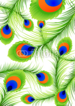 Naklejki Peacock feather background