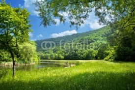Naklejki summer landscape with river and blue sky