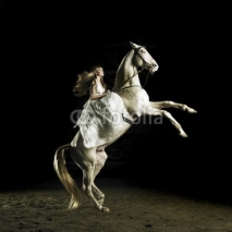 Naklejki Beautiful girl on a white horse
