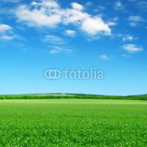 Naklejki green field and blue sky