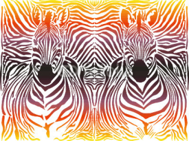 Obrazy i plakaty Zebra abstract pattern background
