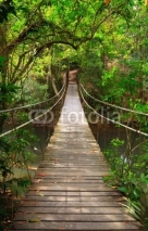 Naklejki Bridge to the jungle,Khao Yai national park,Thailand