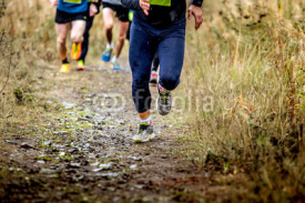 Fototapety group runners running uphill in autumn trail of mud and stones