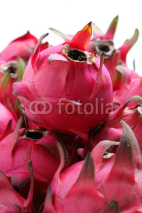 Fototapety Red Dragon Fruits
