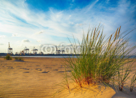 Naklejki Baltic sea grassy dunes and indusrtial port Gdansk, Poland