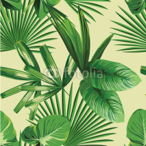 Naklejki tropical  palm leaves seamless background