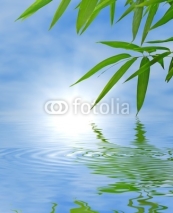 Naklejki Bamboo and sky reflected in the water; Zen atmosphere.