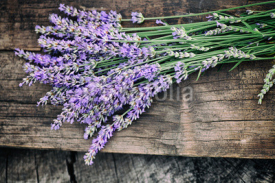 Naklejki Fresh lavender
