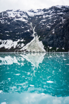 Obrazy i plakaty Glacier Bay in Mountains in Alaska, United States