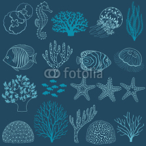 Obrazy i plakaty Underwater life design elements
