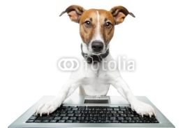 Fototapety dog computer