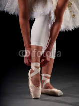 Naklejki Ballerina slipper