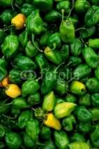 Naklejki Habanero chili hottest pepper in the world