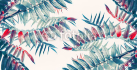 Obrazy i plakaty Beautiful tropical leaves background, banner