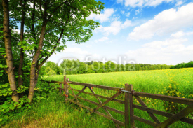 Fototapety Fence in the green field under blue sky