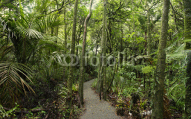 Fototapety Walking trail