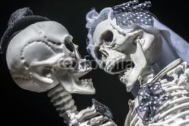 Fototapety Skeleton bride and groom