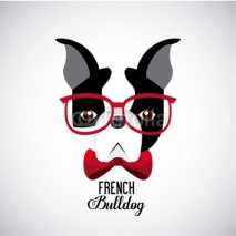 Naklejki french bulldog design 