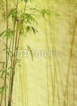 Fototapety bamboo on old grunge antique paper texture .