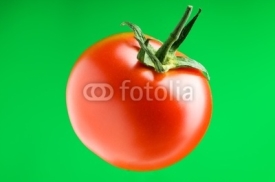 Obrazy i plakaty Red tomato against gradient background