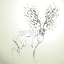 Naklejki Deer with Antler like tree / Realistic sketch
