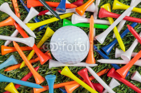 Fototapety Golf ball and wooden tees collection.