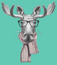 Fototapety Portrait of Moose with glasses and scarf. Hand drawn illustration.