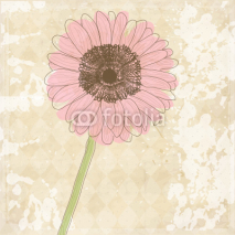 Fototapety Vintage old paper background with flower, vector texture