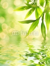 Naklejki Bamboo leaves reflected in rendered water