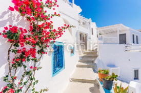 Naklejki Traditional cycladic whitewashed street with blooming bougainvillea in the summer, Santorini, Greece
