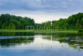 Naklejki Lake and forest view.