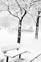 Fototapety Winter park in snow