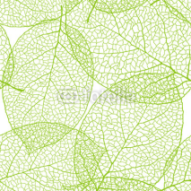 Naklejki Fresh green leaves background - vector illustration