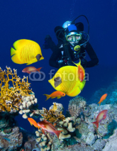 Fototapety Female scuba diver exploring  coral garden