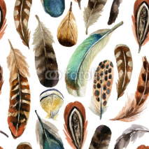 Fototapety watercolor feather background