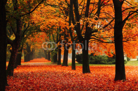 Naklejki red autumn in the park