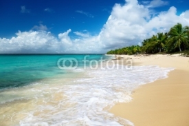 Naklejki beach of Catalina island, Dominican republic