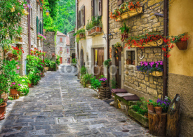 Naklejki  Italian street in a small provincial town of Tuscan