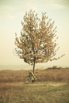 Naklejki Tree and bicycle