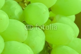 Naklejki Green grapes