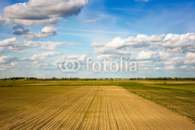Naklejki Agricultural landscape